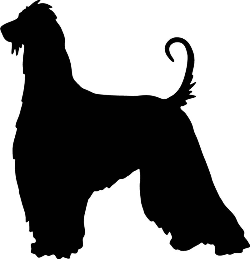 teddyfamily Afghanischer Windhund - Hundeaufkleber - Farbe und Umrandung oder Text wählbar - Dog Sticker von teddyfamily