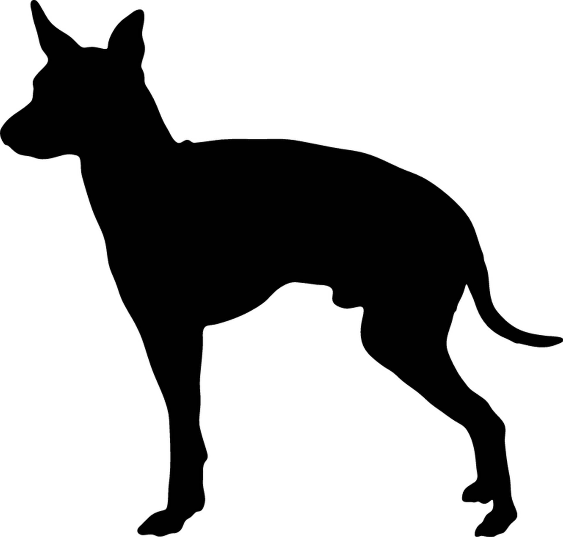 teddyfamily English Toy Terrier - Hundeaufkleber - Farbe und Umrandung oder Text wählbar - Dog Sticker von teddyfamily