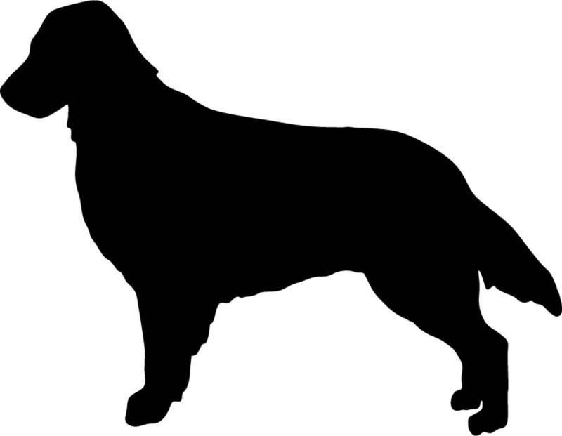 teddyfamily Flat Coated Retriever - Hundeaufkleber - Farbe und Umrandung oder Text wählbar - Dog Sticker von teddyfamily