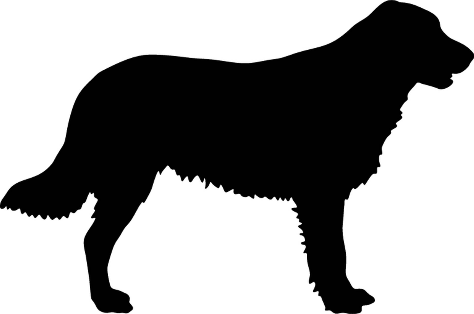 teddyfamily Flat Coated Retriever - Hundeaufkleber - Farbe und Umrandung oder Text wählbar - Dog Sticker von teddyfamily