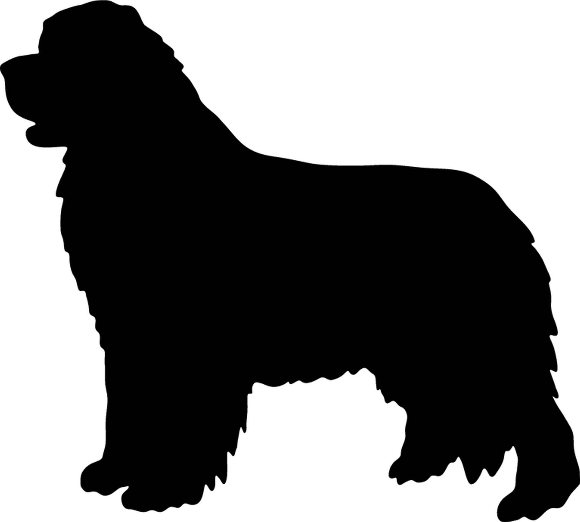 teddyfamily Neufundländer - Hundeaufkleber - Farbe und Umrandung oder Text wählbar - Dog Sticker von teddyfamily