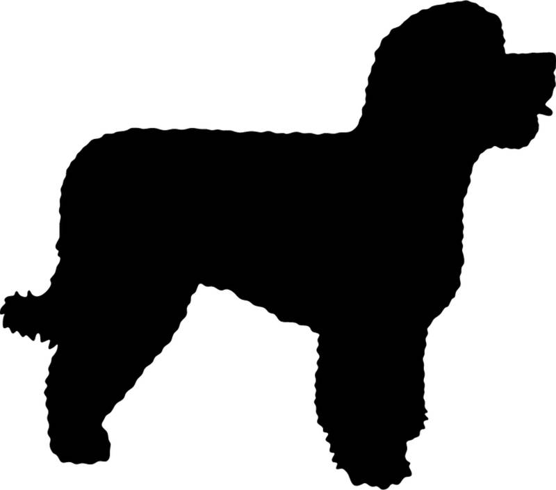 teddyfamily Portugiesischer Wasserhund - Hundeaufkleber - Farbe und Umrandung oder Text wählbar - Dog Sticker von teddyfamily
