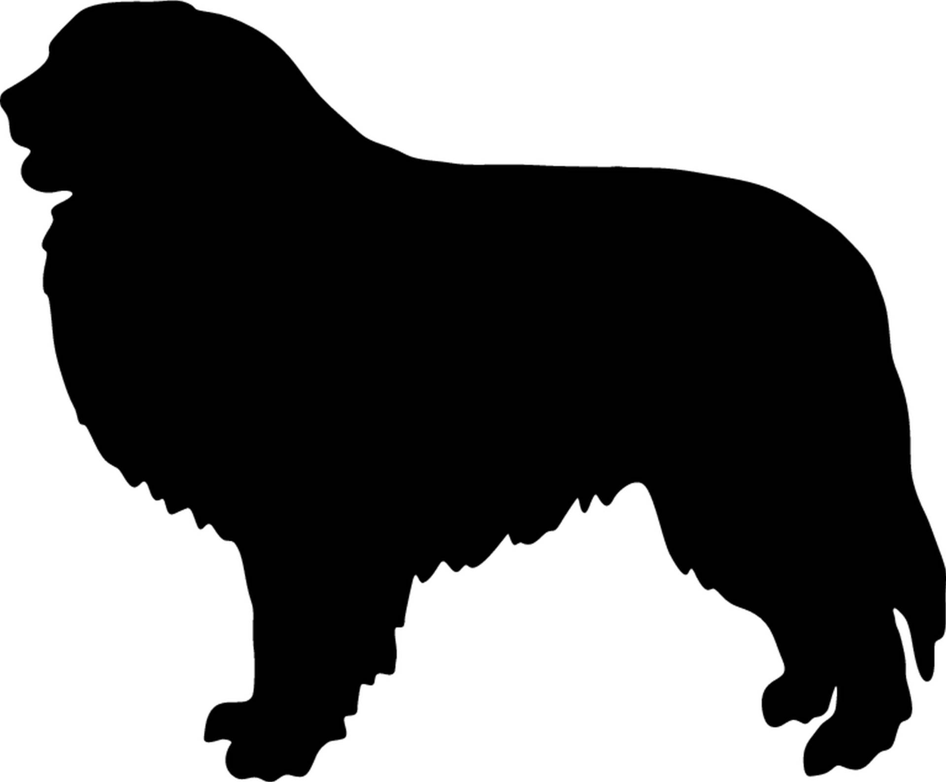 teddyfamily Pyrenäenberghund - Hundeaufkleber - Farbe und Umrandung oder Text wählbar - Dog Sticker von teddyfamily