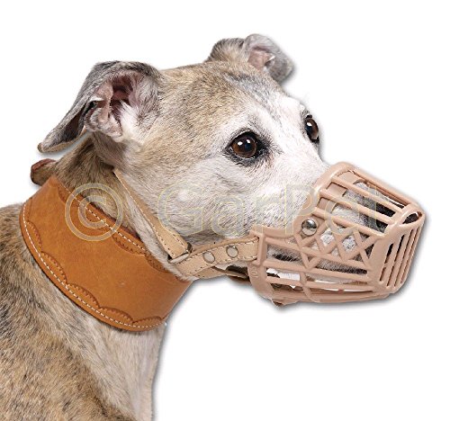 Maulkorb aus Kunststoff mit Leder riemen Hundemaulkorb Maulschlaufe Maulband Beißkorb Gittermaulkorb (Gr.1) von Tommi