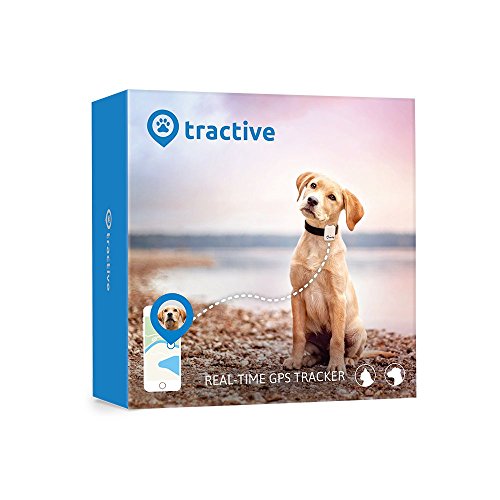 tractive GPS Peilsender für Hunde und Katzen - wasserdichter mini Tracker - der Sender fürs Halsband von tractive