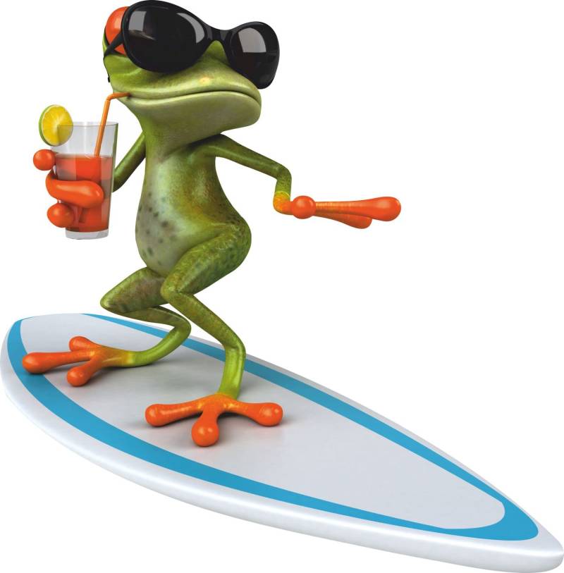 younikat Sticker Surfer Frosch I 10 cm I für Laptop Koffer Roller Motorrad Badezimmer Duschwand als Auto-Aufkleber I surfender Frosch I kfz_010 von younikat